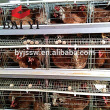 Jaulas de pollo / Jaulas de pollo usadas en venta